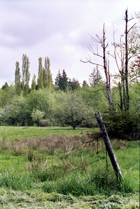 Photo of Hawk Meadow