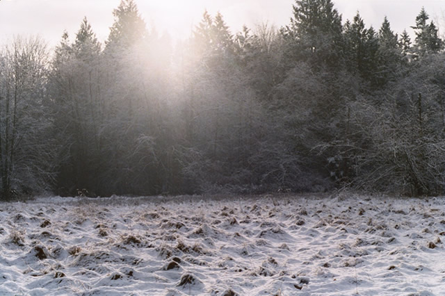 Photo of The Harsh Beauty of Winter