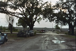 Lower Ninth Ward, a neighborhood scrapped clean of houses.  In the background is the canal dike that broke - Click for a larger image