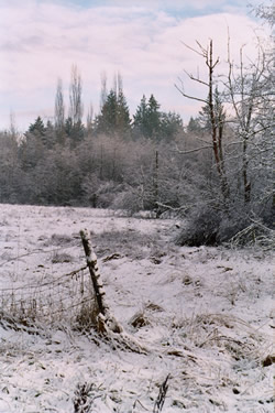 Photo of The Harsh Beauty of Winter - Click for a larger image